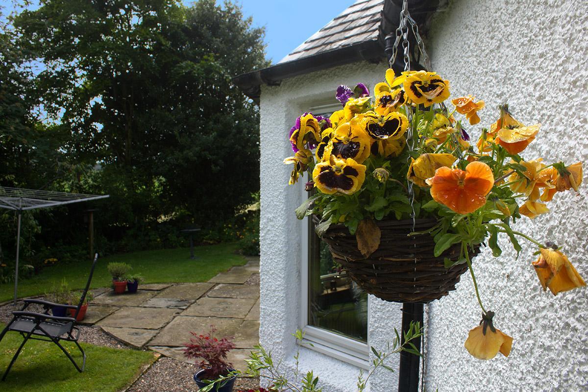 Druminoch Region Region Angus Exterior foto